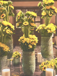 Close-up of potted plant in vase