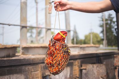 Close-up of man holding lobster in fishing net