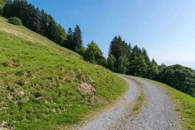 Road amidst trees against sky