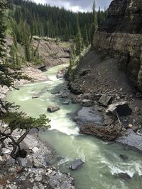 Stream flowing through rocks in forest