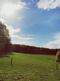 Scenic view of grassy field against sky