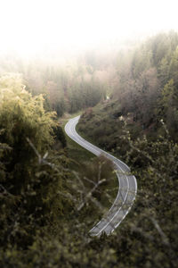 High angle view of road amidst trees in forest