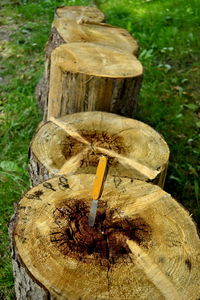 High angle view of tree stump on field