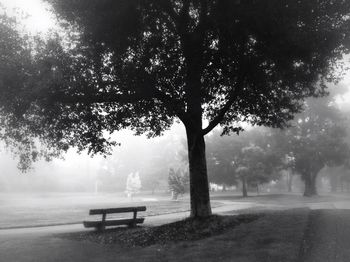 Empty bench in park