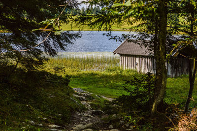 Scenic view of sea and trees in forest