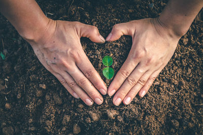 High angle view of hands holding heart shape