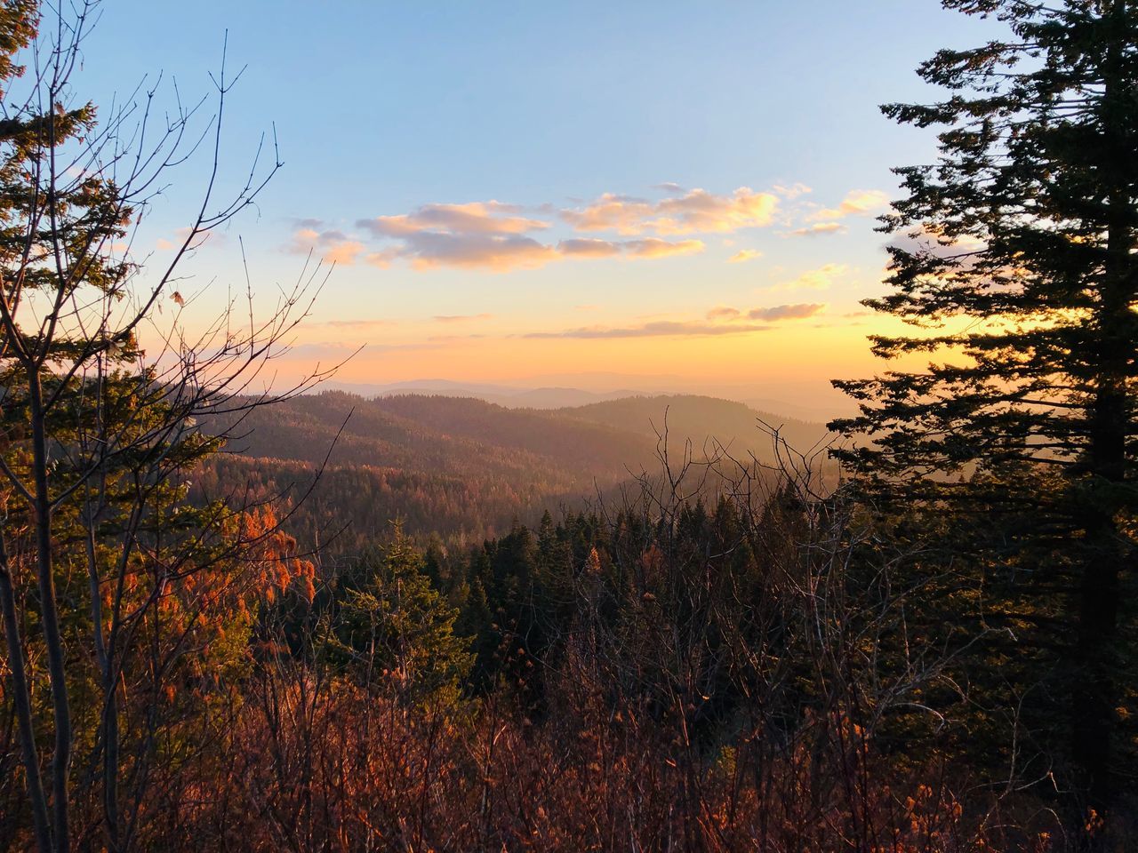 sky, plant, beauty in nature, sunset, tranquility, tranquil scene, cloud - sky, scenics - nature, environment, nature, tree, non-urban scene, landscape, growth, land, orange color, no people, mountain, outdoors, idyllic