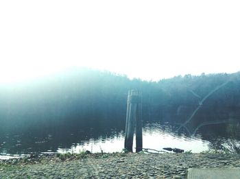 Reflection of trees in lake