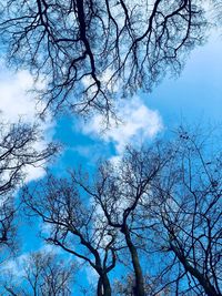 Low angle view of bare tree against sky