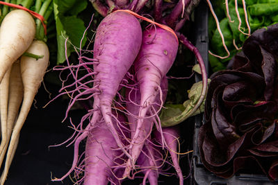 Close-up of fresh vegetables