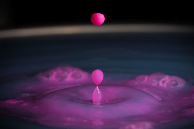 Close-up of drop falling on purple liquid