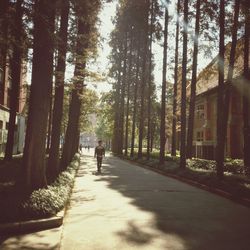 Footpath in park