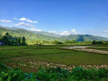 Scenic view of agricultural field against sky