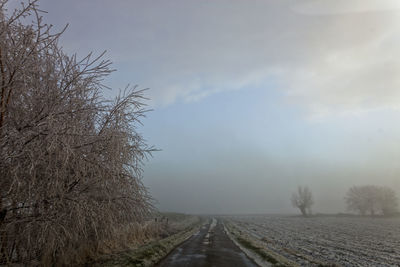 A winter landscape, frost weather.