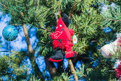 Close-up of christmas decorations hanging on tree