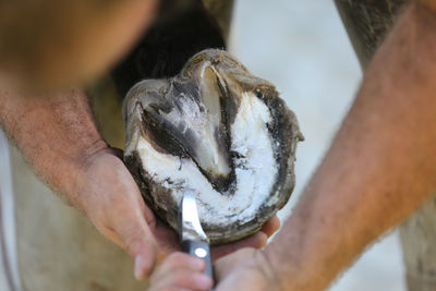 Close-up of hand holding ice cream