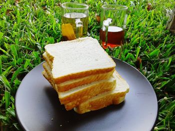 Close-up of breads in plate on grass