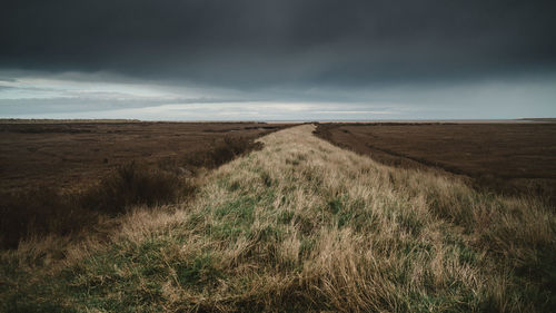 Scenic view of grassy landscape against cloudy sky