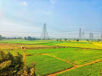 Scenic view of agricultural field against sky