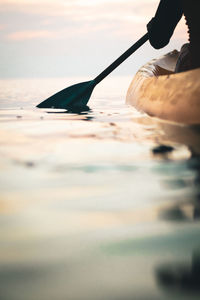 Person surfing in sea against sky during sunset