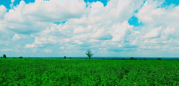 Scenic view of field against cloudy sky