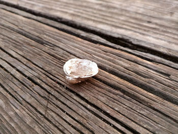 Close-up of wooden plank