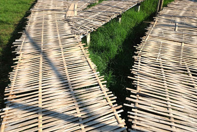 High angle view of boardwalk on field