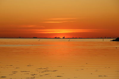 Scenic view of sea against orange sky