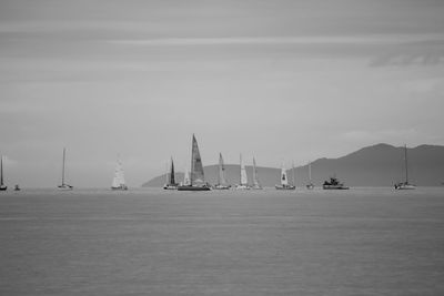 Sailboats sailing in sea against sky