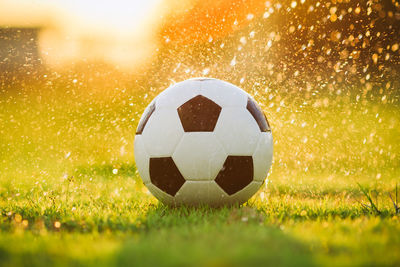 Close-up of soccer ball on field