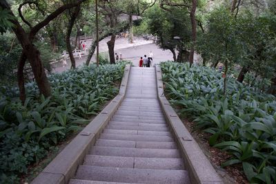 People walking on footpath amidst trees