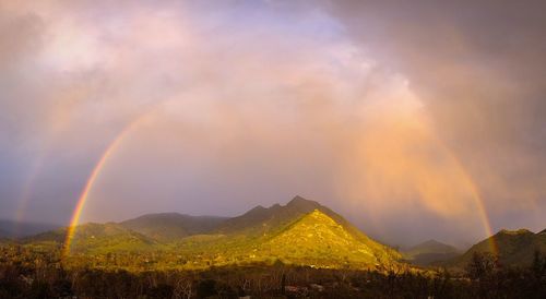 rainbow