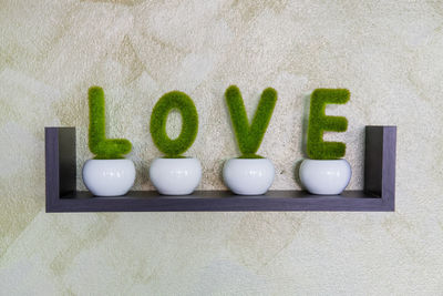 Close-up of love potted plants on shelf at home