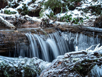 Scenic view of waterfall in forest