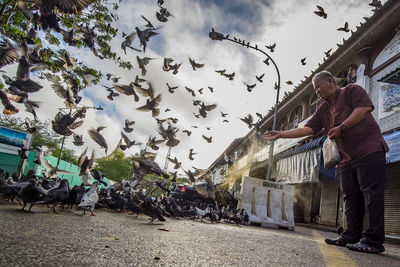 People standing on street against sky