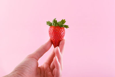 Midsection of person holding apple against pink background