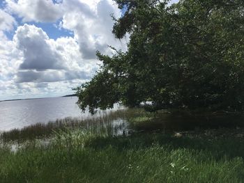 Scenic view of landscape against sky