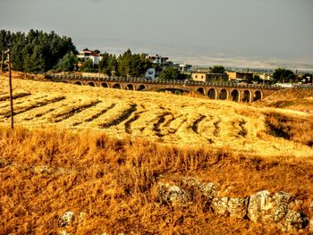 Scenic view of field against sky