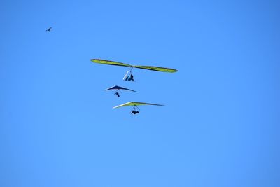 Low angle view of people hang-gliding against clear blue sky
