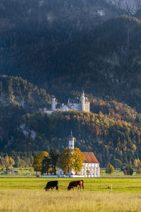 Castle neuschwanstein and pilgrimage church st. coloman in bavaria, germany