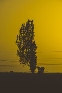 Silhouette tree against clear sky during sunset