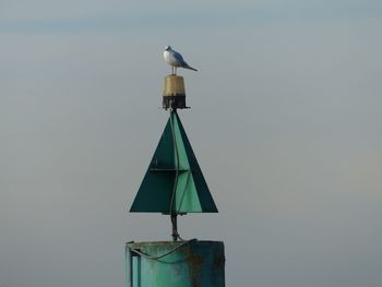 Low angle view of seagull perching on metal against sky