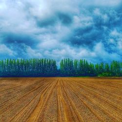 Scenic view of field against sky