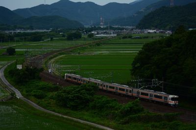 A local train running rural area at early summer -tokaido line maibara - samegai, 2023, jun.
