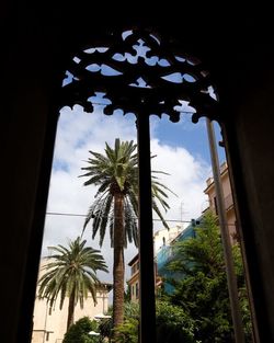 Low angle view of palm trees against sky