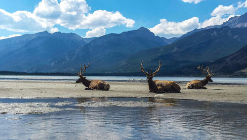 Scenic view of lake by mountains against sky