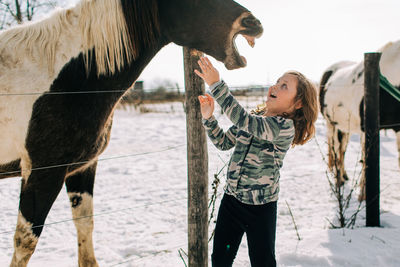 Full length of a horse standing on field