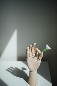 Close-up of hand holding white flower on table
