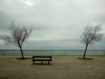 Empty bare trees on landscape against sky