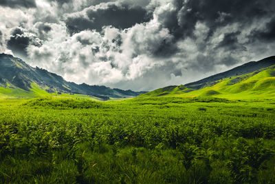 Scenic view of field against sky